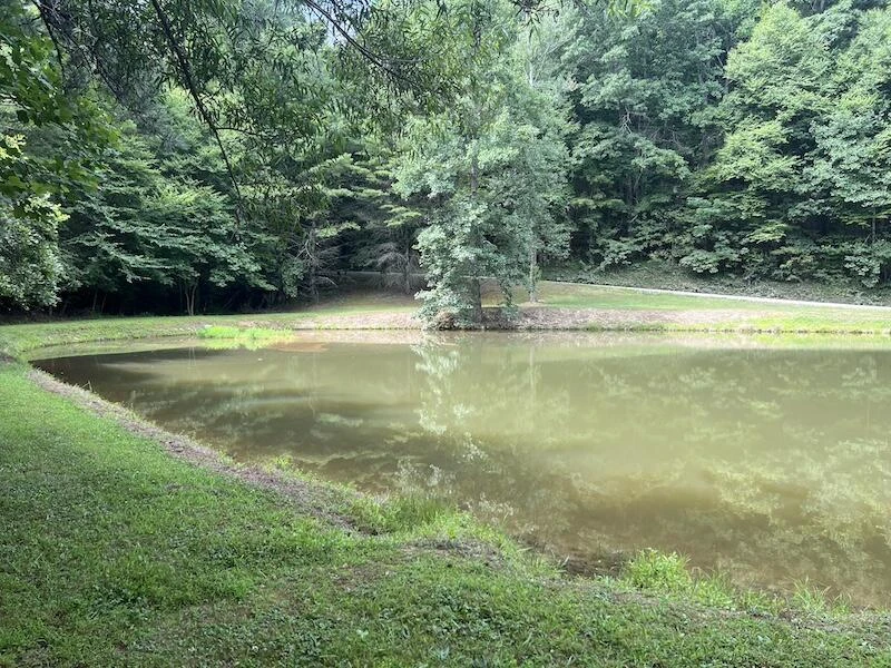 0 Music RD - Photo 15