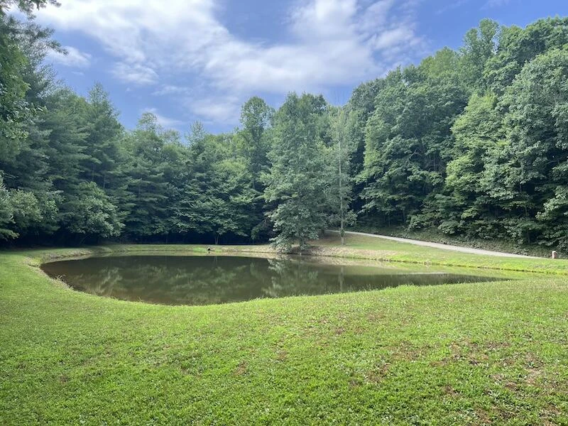 0 Music RD - Photo 16