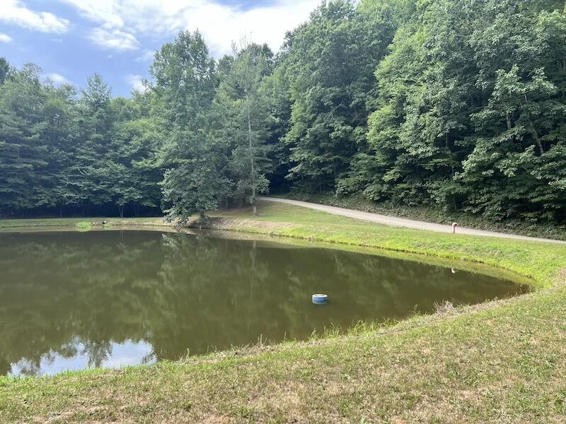 0 Music RD - Photo 18