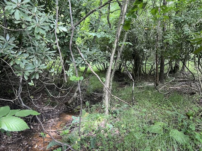 0 Music RD - Photo 20