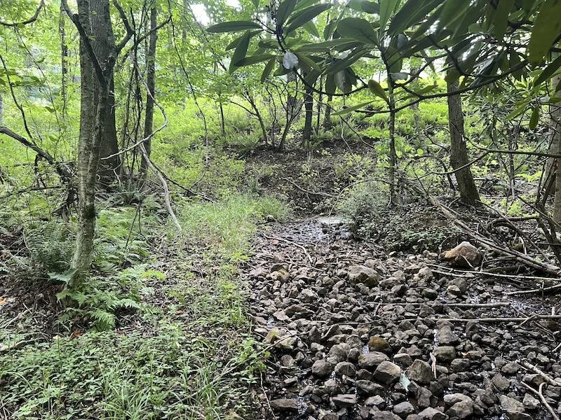 0 Music RD - Photo 21