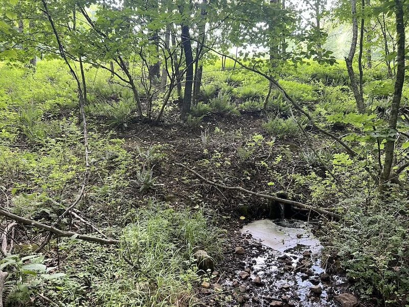 0 Music RD - Photo 22