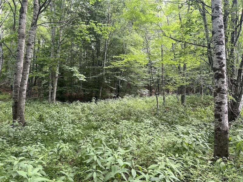 0 Music RD - Photo 23