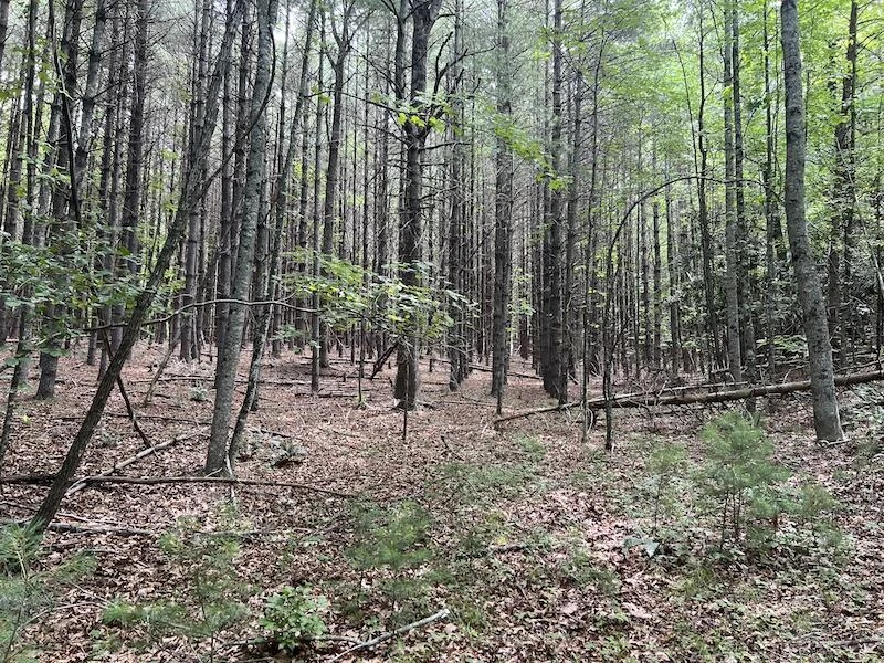 0 Music RD - Photo 24