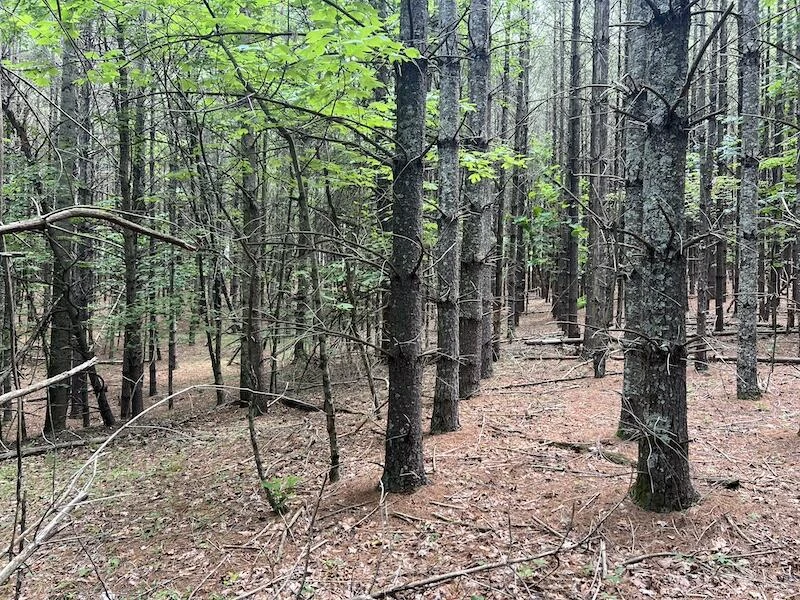 0 Music RD - Photo 25