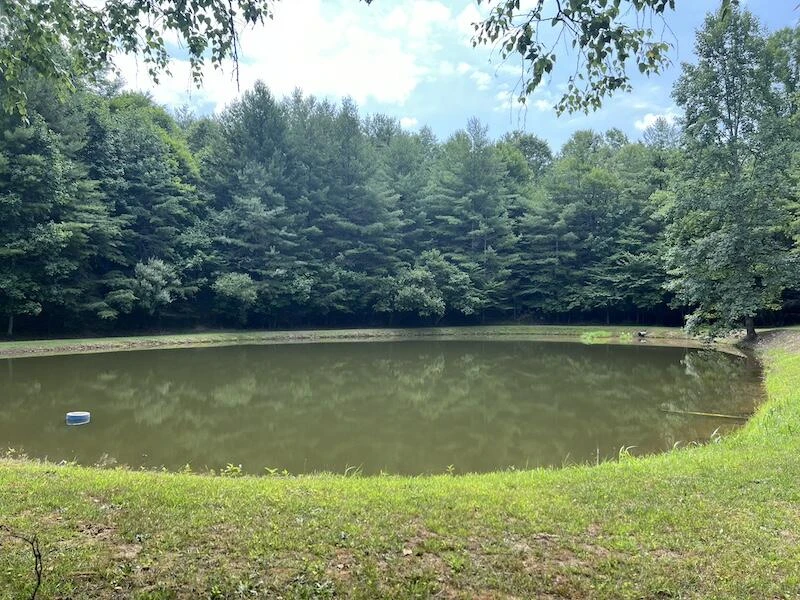 0 Music RD - Photo 3