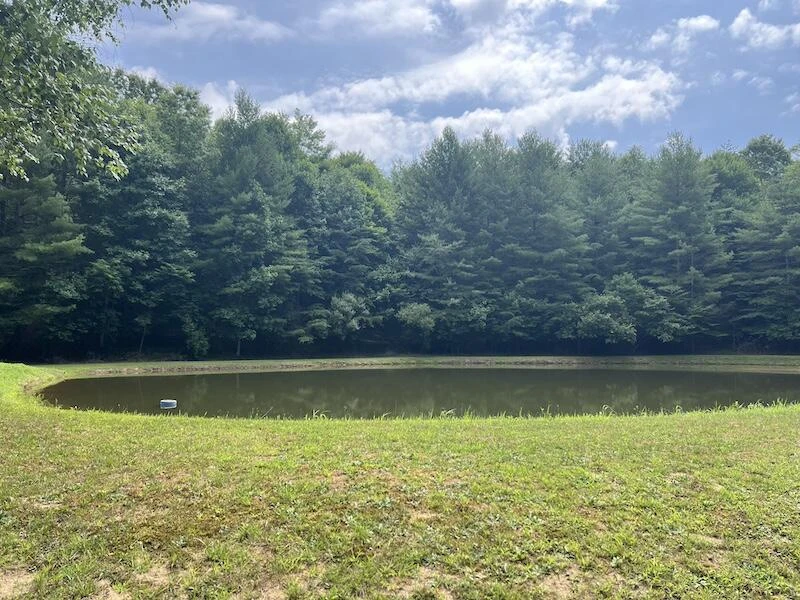 0 Music RD - Photo 4