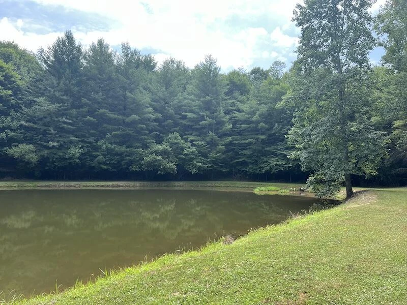 0 Music RD - Photo 5
