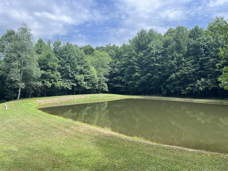 0 Music RD - Photo 6