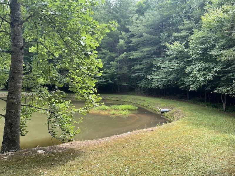0 Music RD - Photo 8