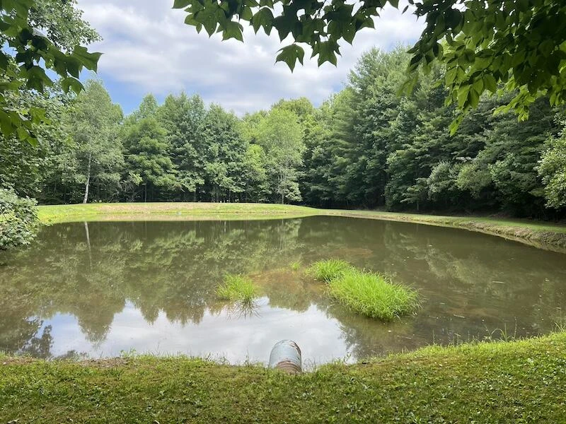 0 Music RD - Photo 9