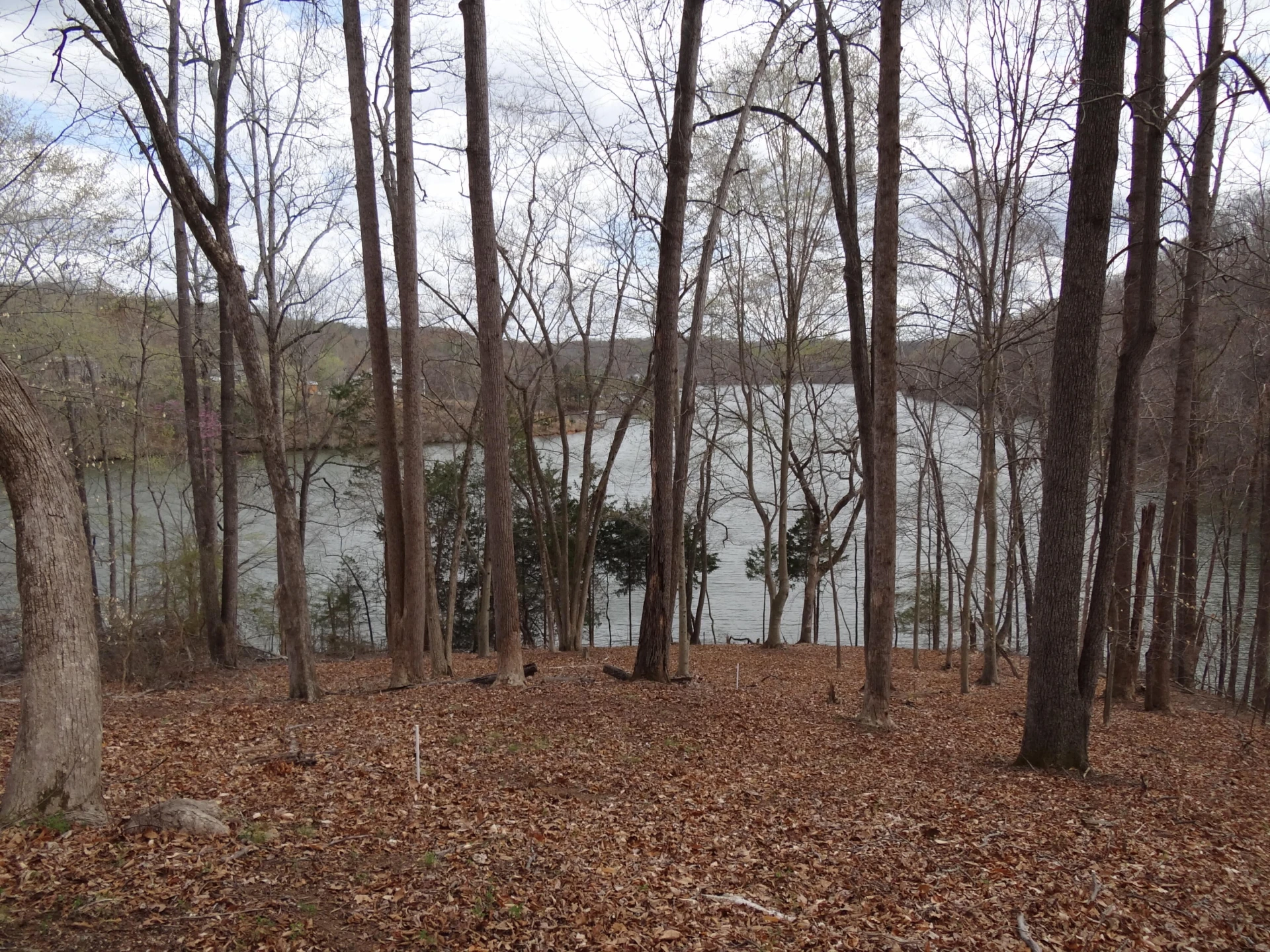 LOT 72 Washburn CT - Photo 10