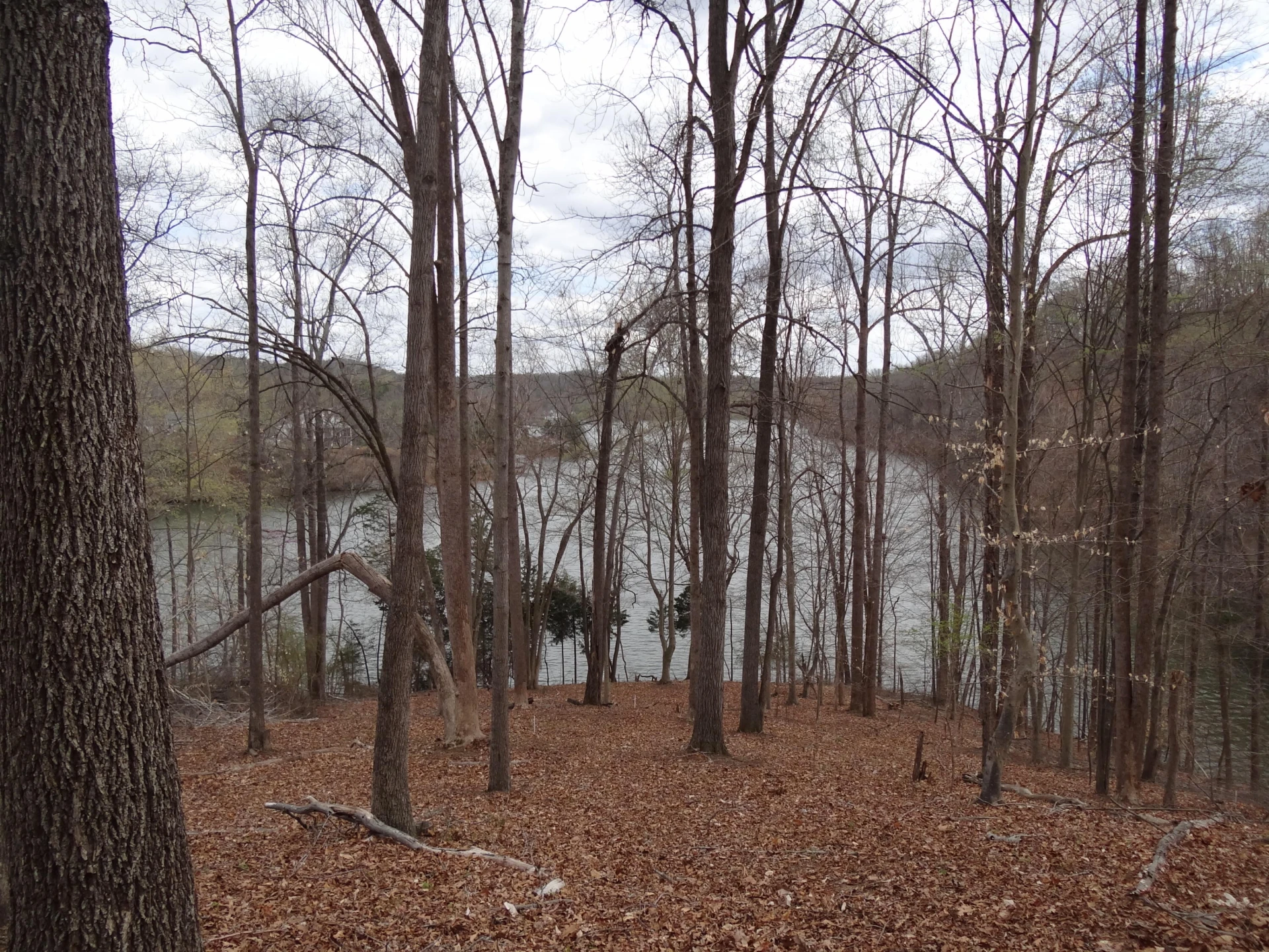LOT 72 Washburn CT - Photo 11
