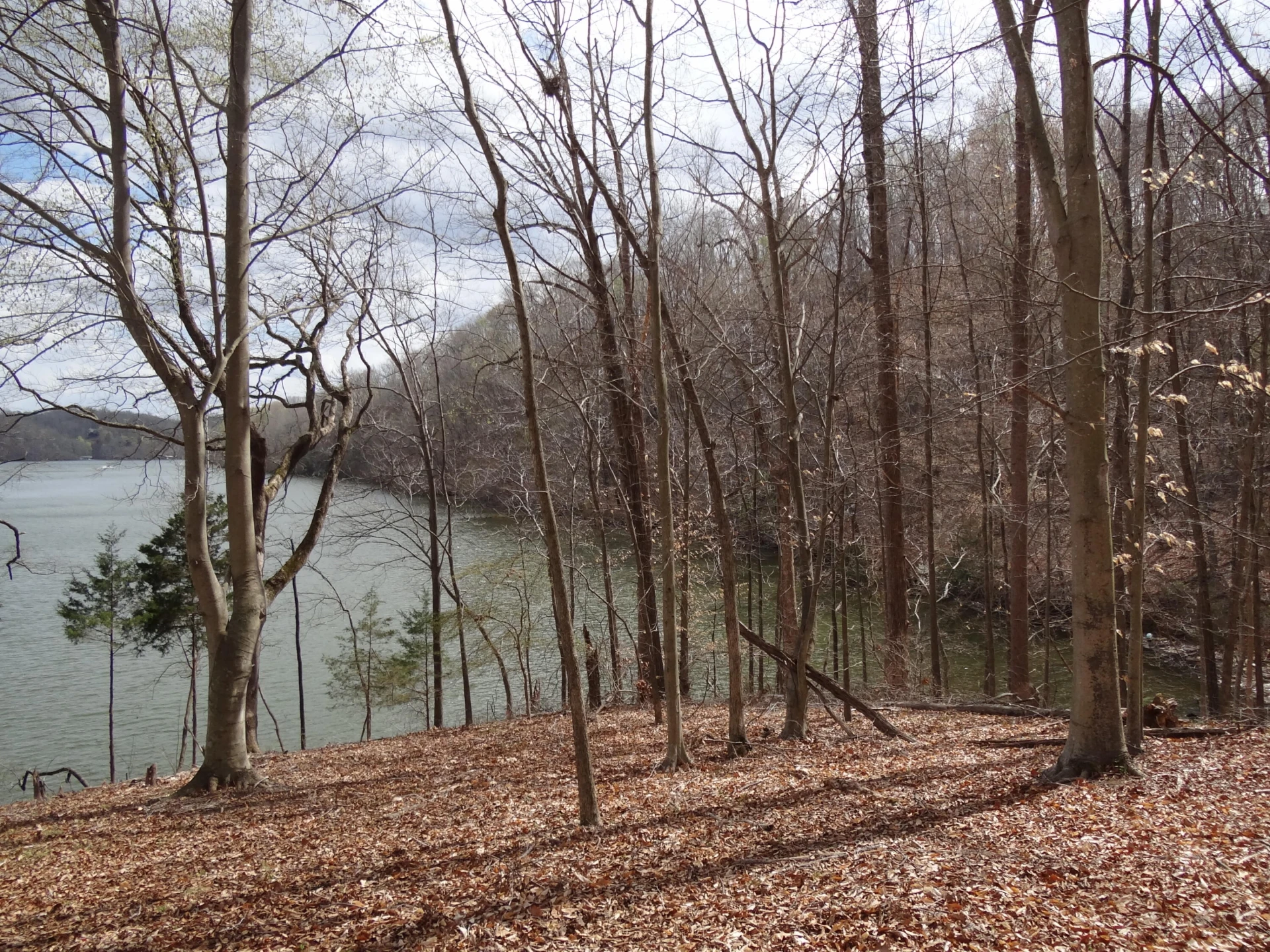 LOT 72 Washburn CT - Photo 15