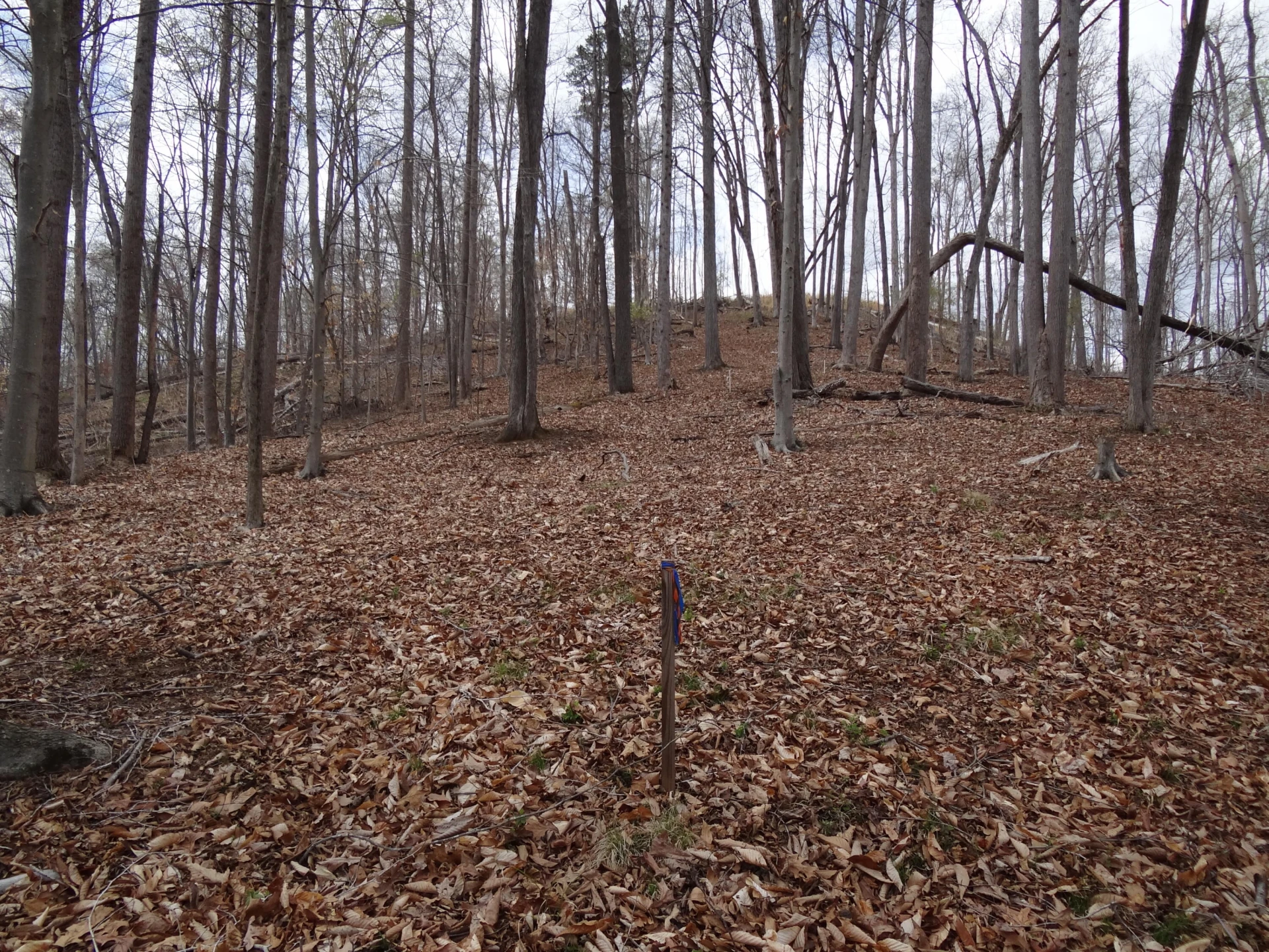 LOT 72 Washburn CT - Photo 16