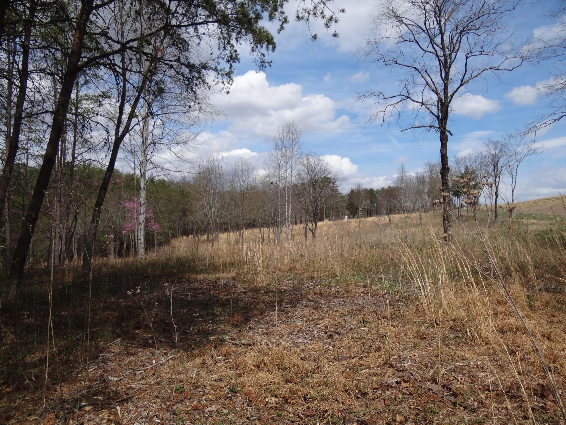 LOT 72 Washburn CT - Photo 19