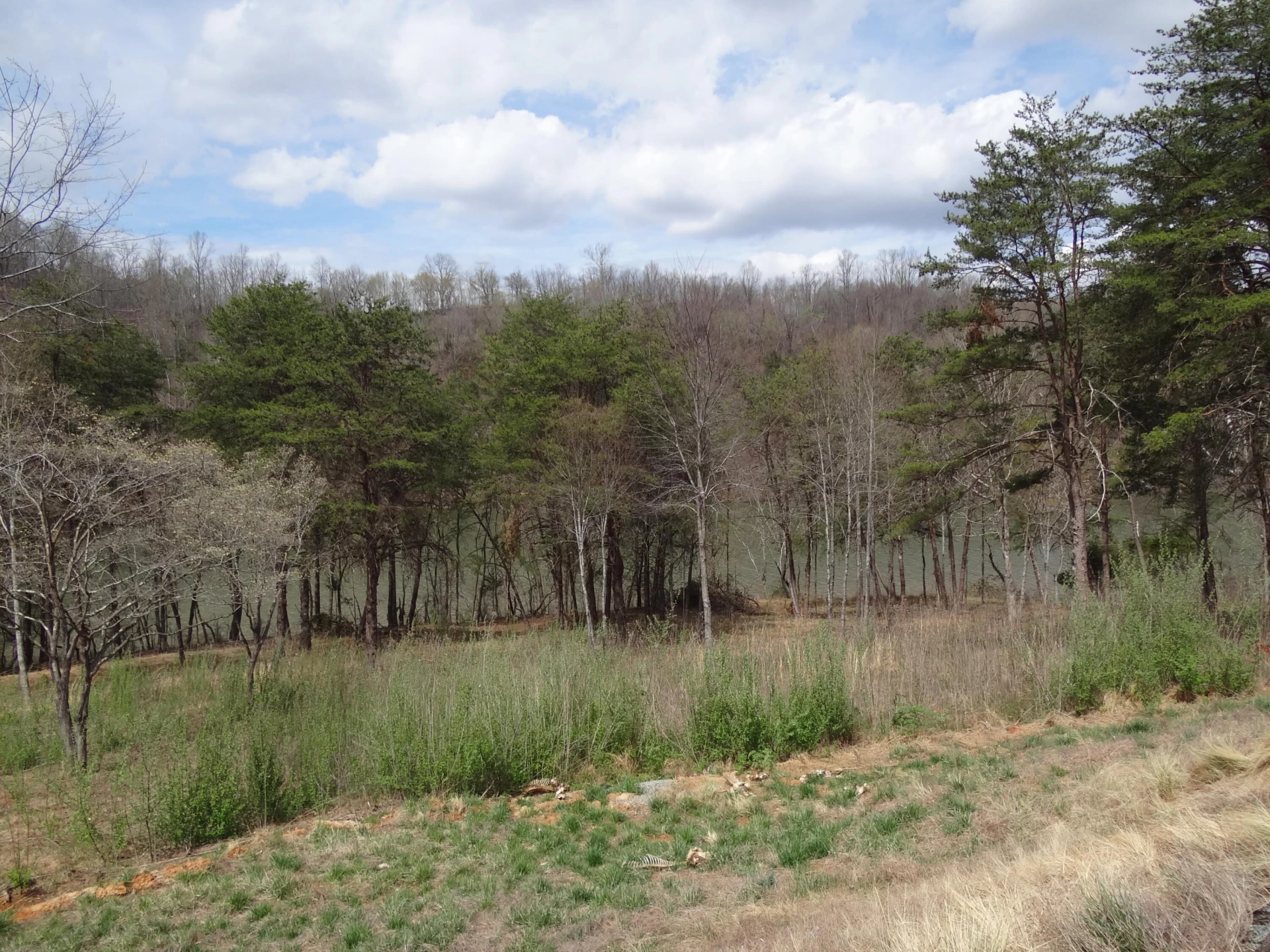 LOT 72 Washburn CT - Photo 20