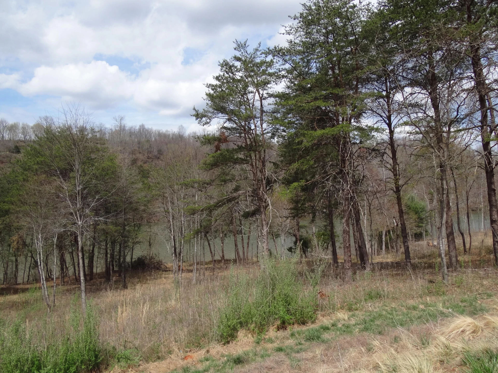 LOT 72 Washburn CT - Photo 21