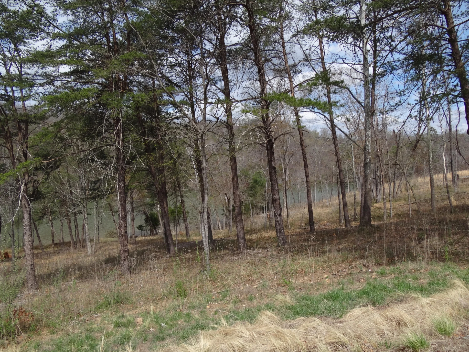 LOT 72 Washburn CT - Photo 22