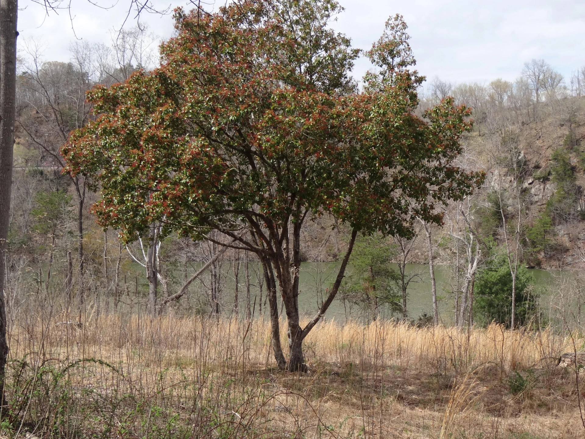 LOT 72 Washburn CT - Photo 24