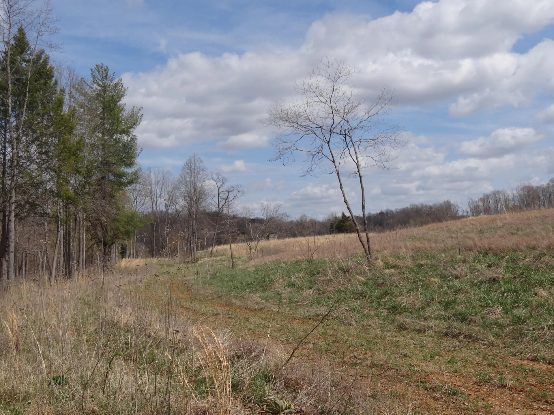LOT 72 Washburn CT - Photo 27