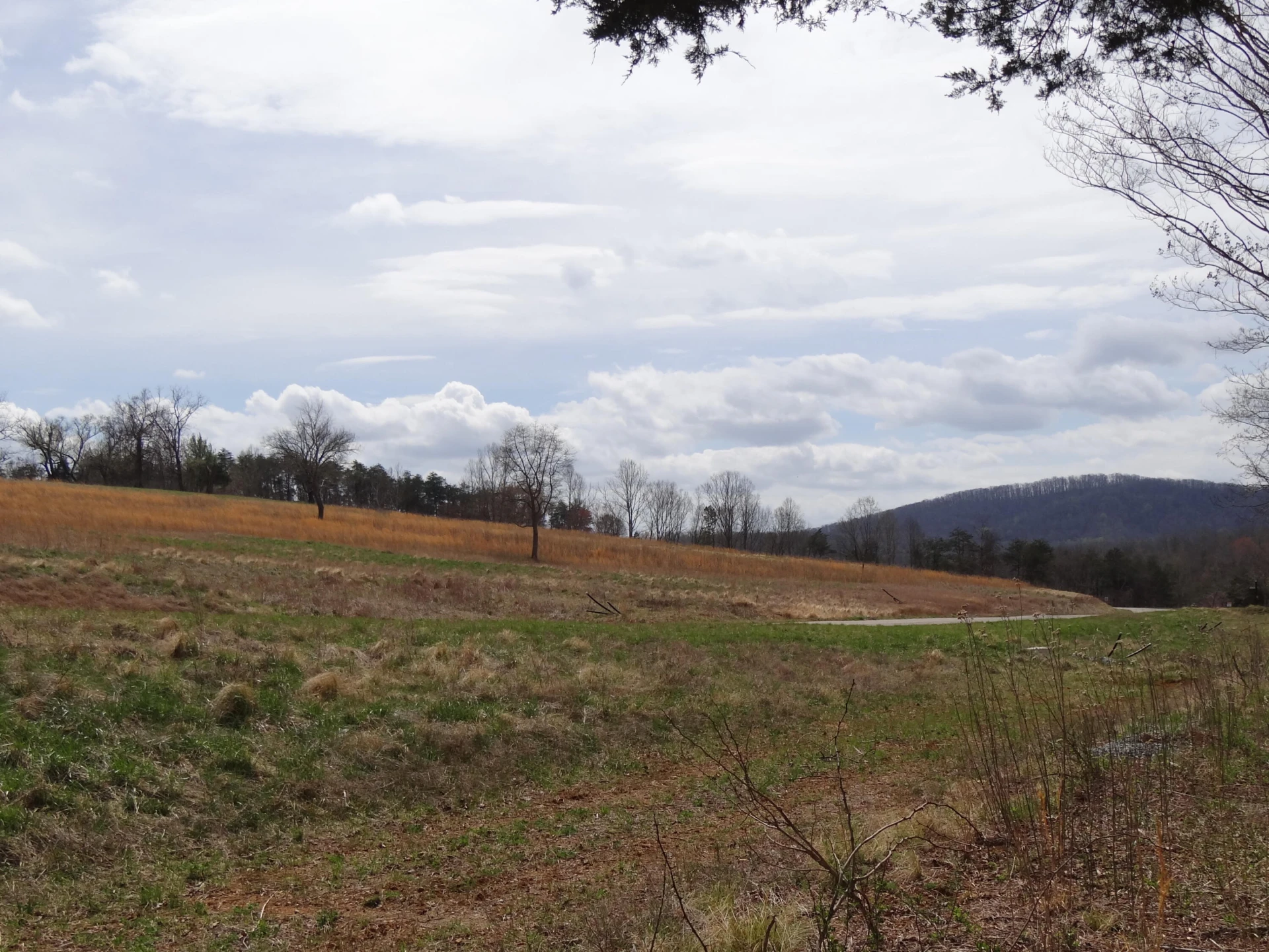 LOT 72 Washburn CT - Photo 28