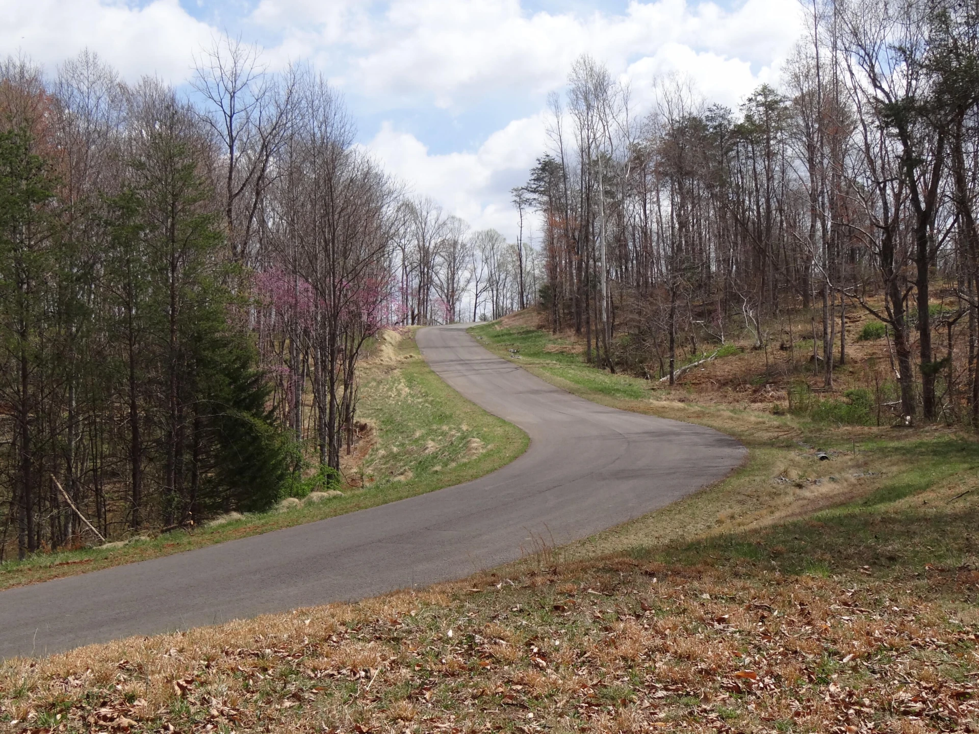 LOT 72 Washburn CT - Photo 31