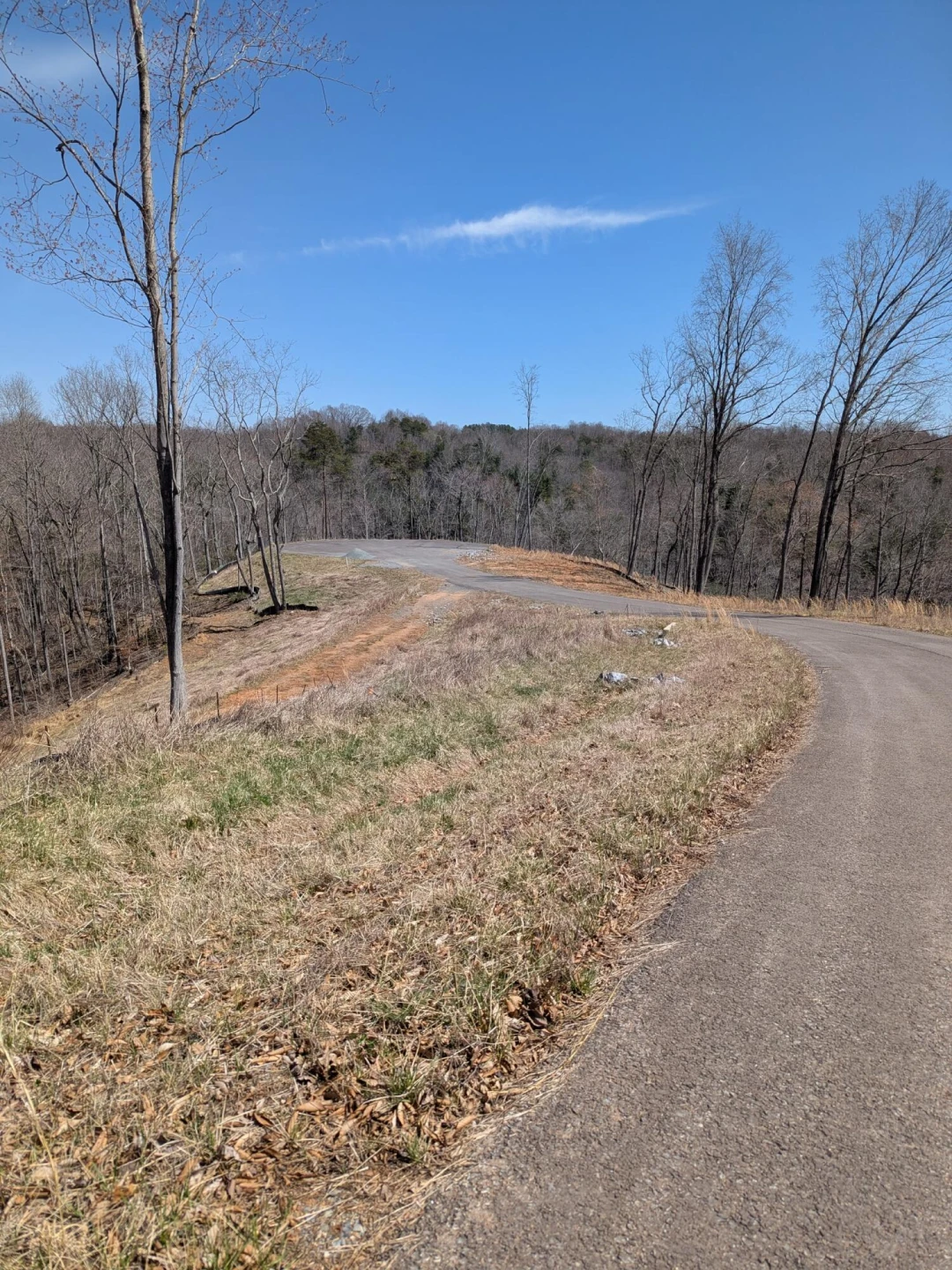LOT 72 Washburn CT - Photo 33