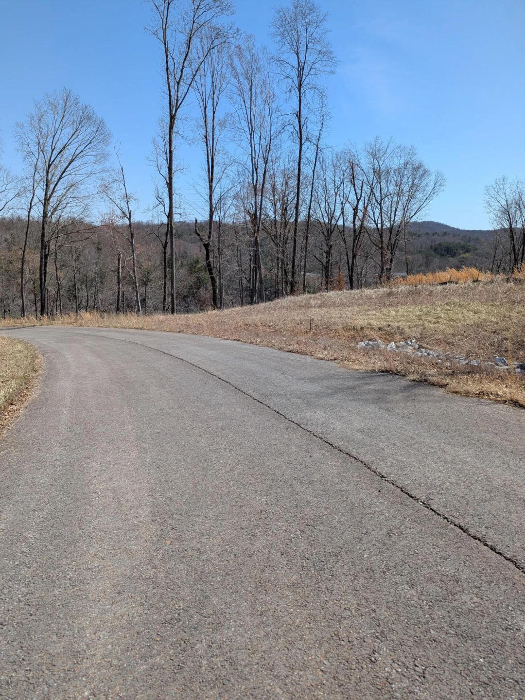 LOT 72 Washburn CT - Photo 34
