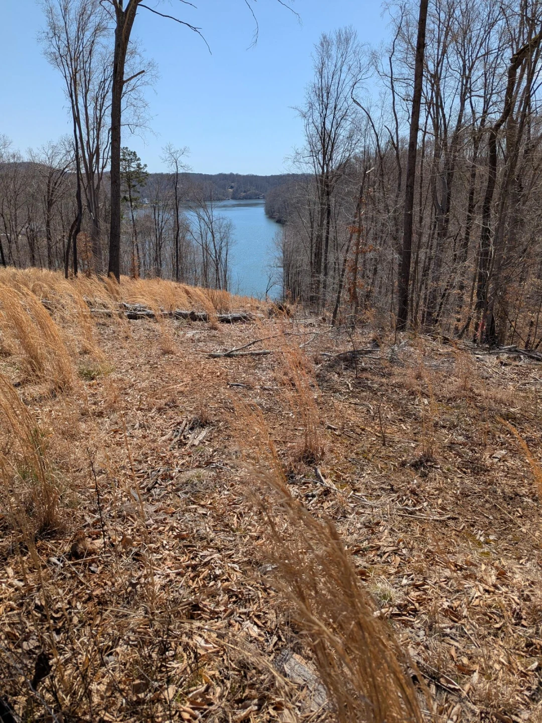 LOT 72 Washburn CT - Photo 35