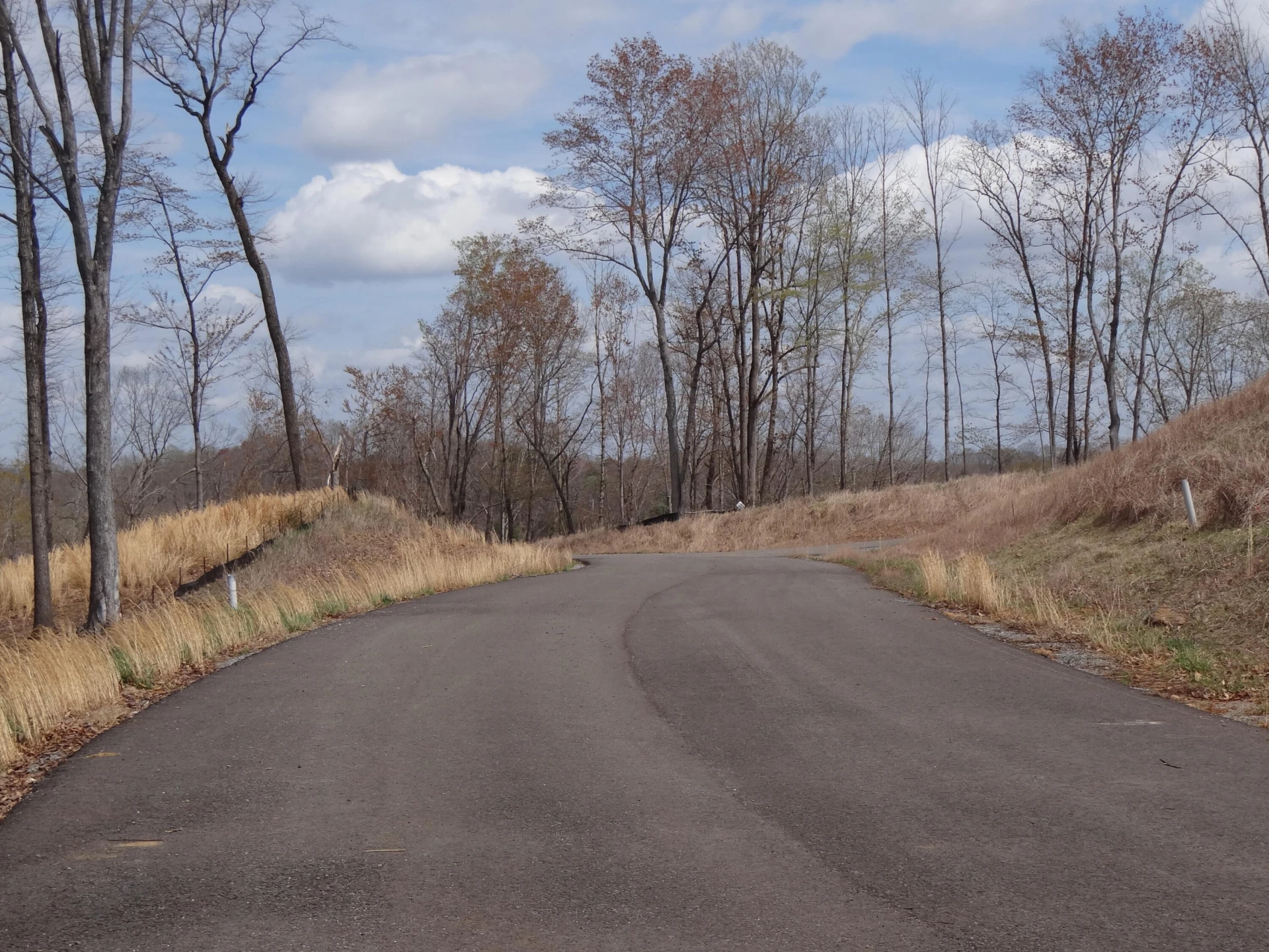 LOT 72 Washburn CT - Photo 4