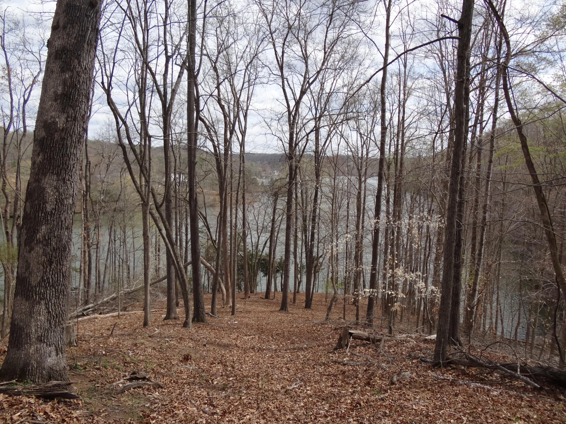 LOT 72 Washburn CT - Photo 7