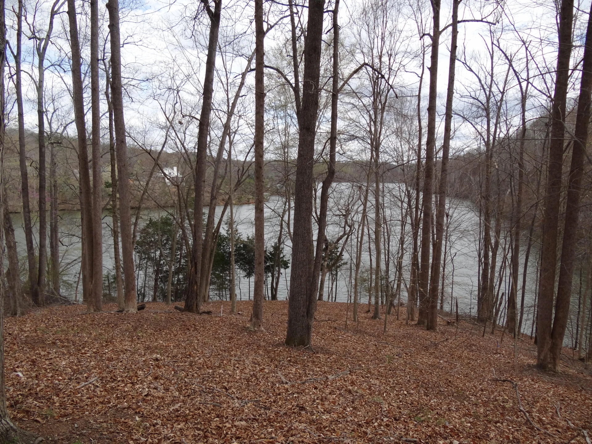 LOT 72 Washburn CT - Photo 8