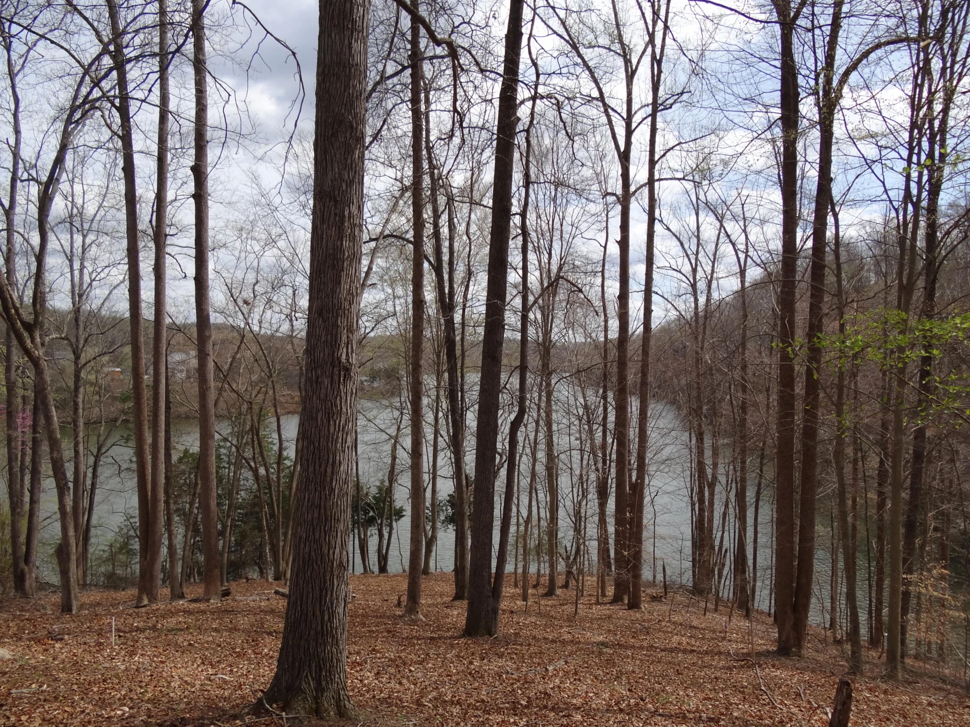 LOT 72 Washburn CT - Photo 9