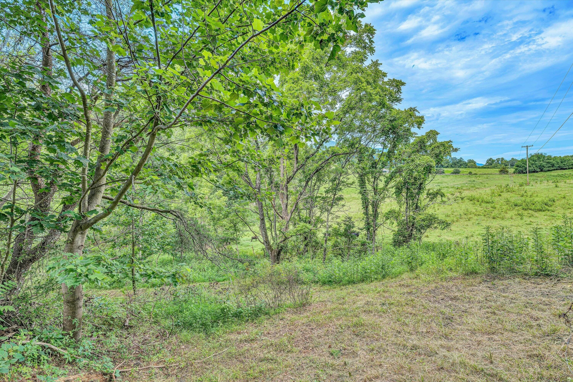 715 PRIMROSE RD - Photo 32