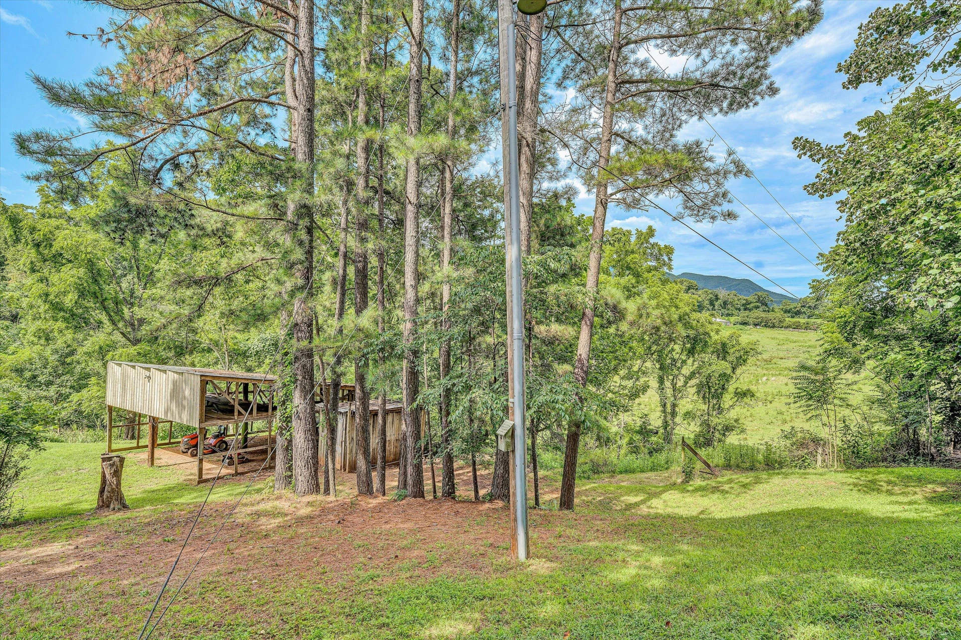 715 PRIMROSE RD - Photo 34