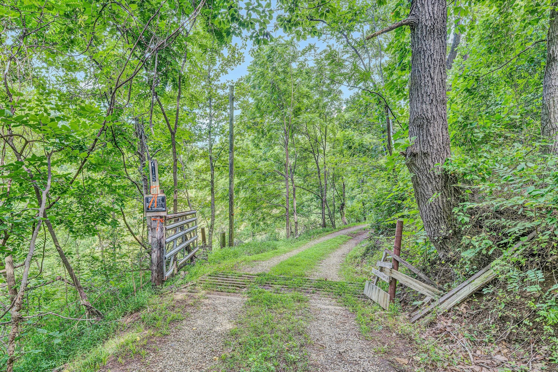 715 PRIMROSE RD - Photo 37