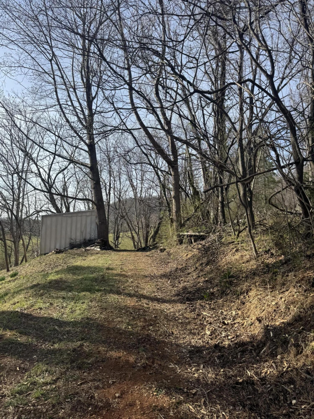 715 PRIMROSE RD - Photo 42