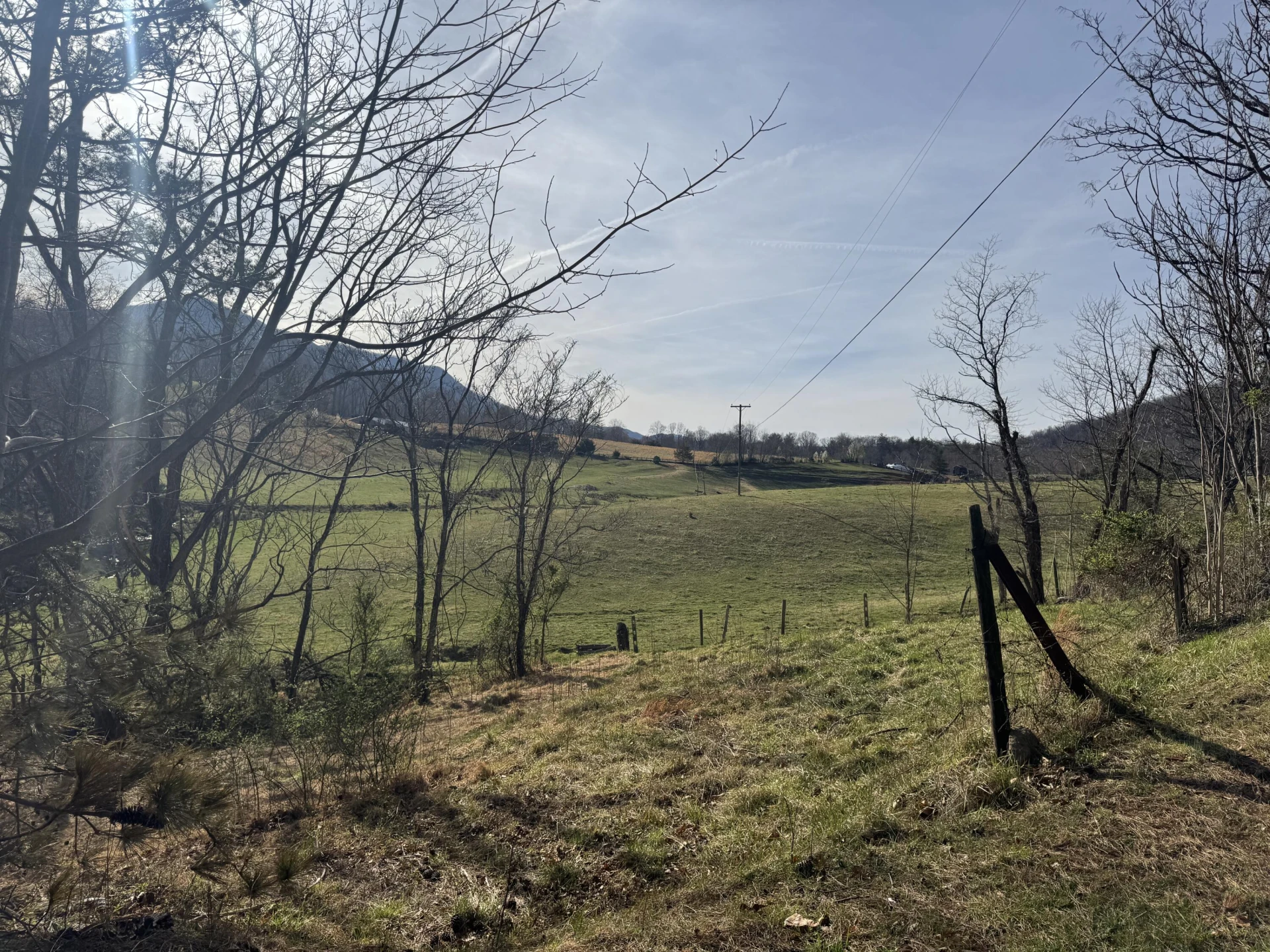 715 PRIMROSE RD - Photo 43