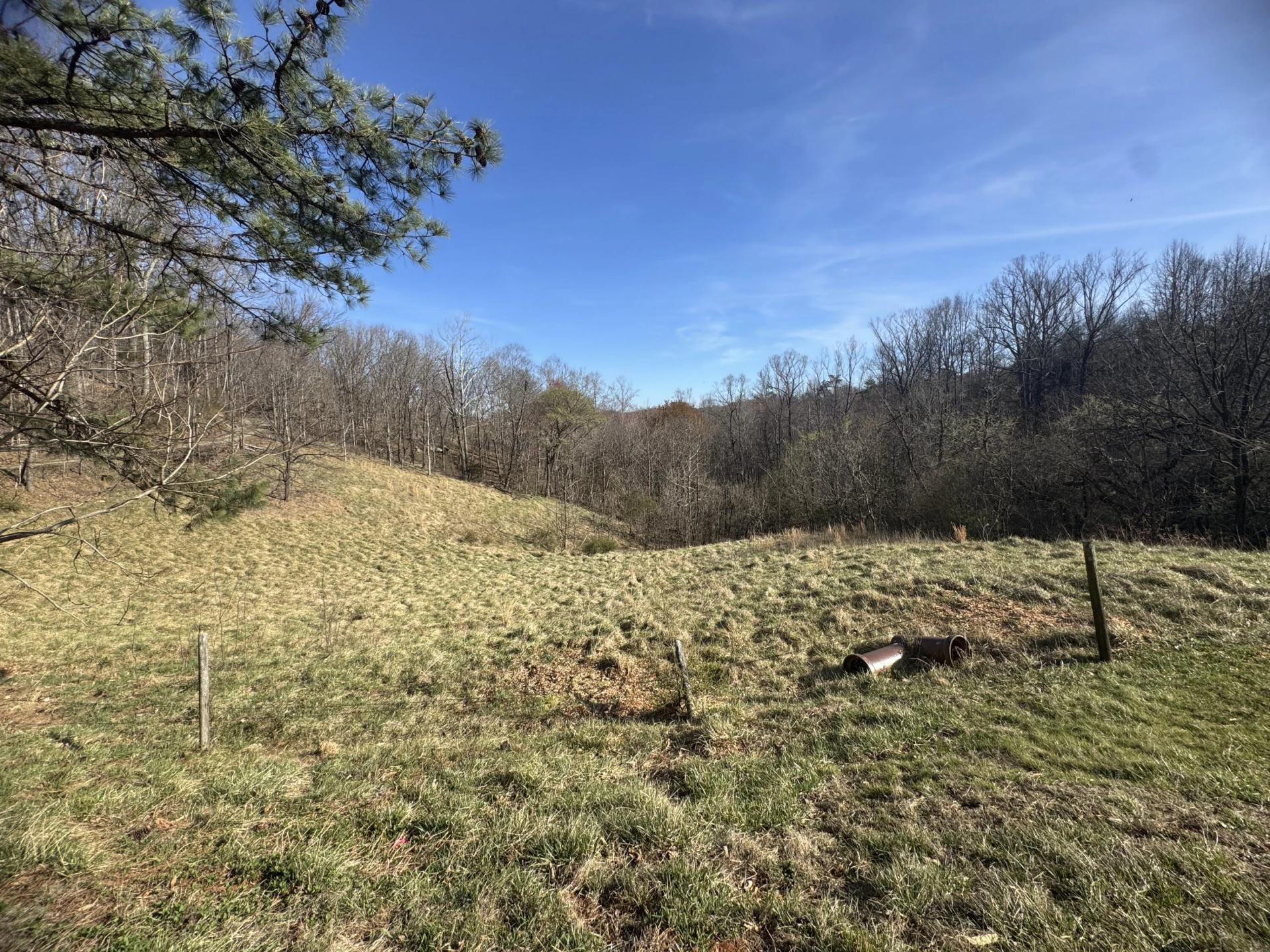 715 PRIMROSE RD - Photo 46