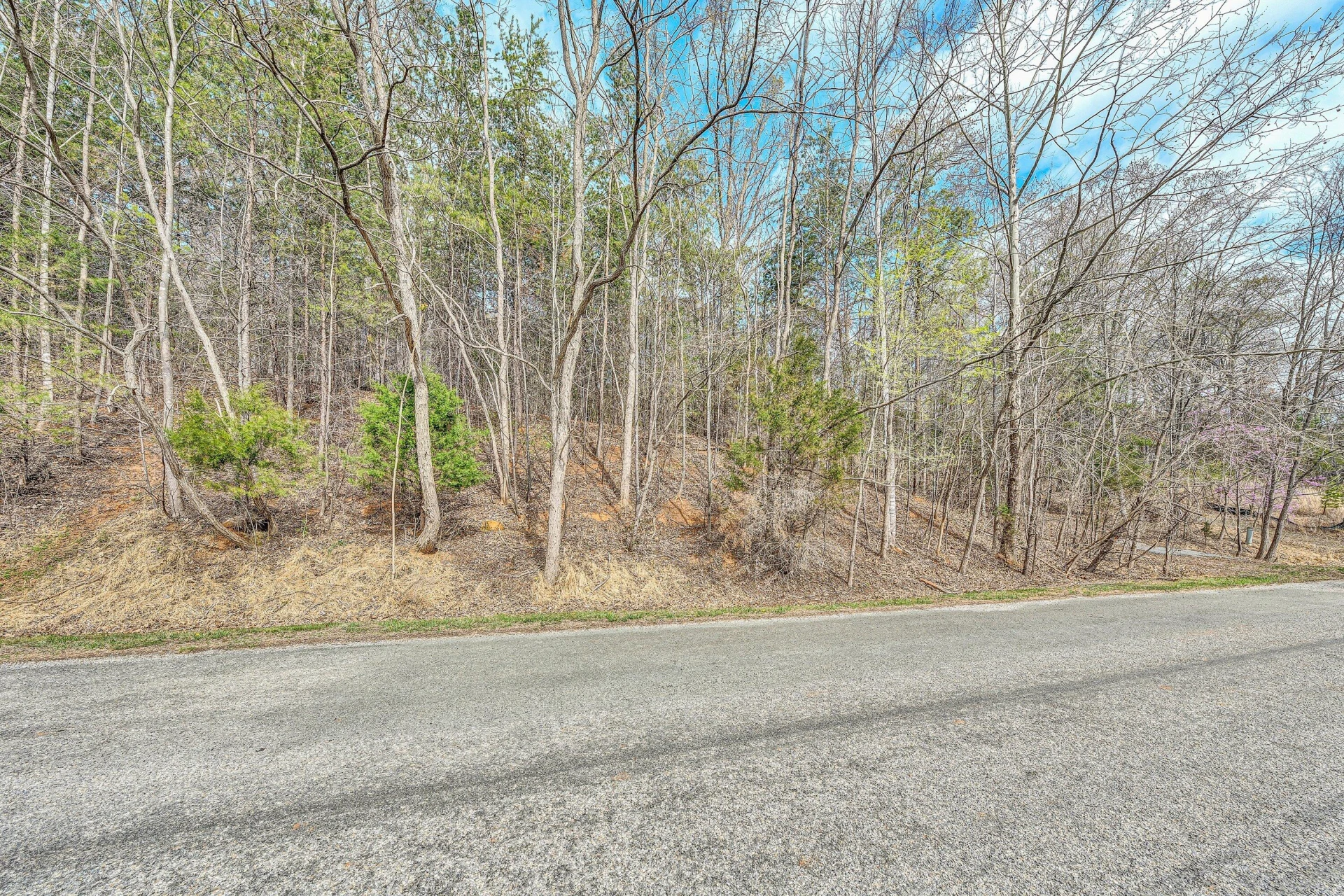 Lot 26 Lake Edge DR - Photo 10