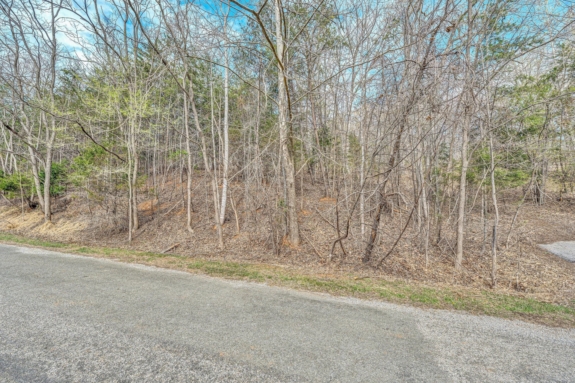 Lot 26 Lake Edge DR - Photo 11