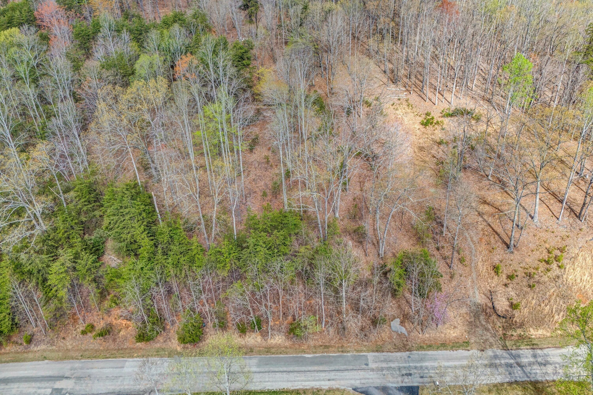 Lot 26 Lake Edge DR - Photo 5
