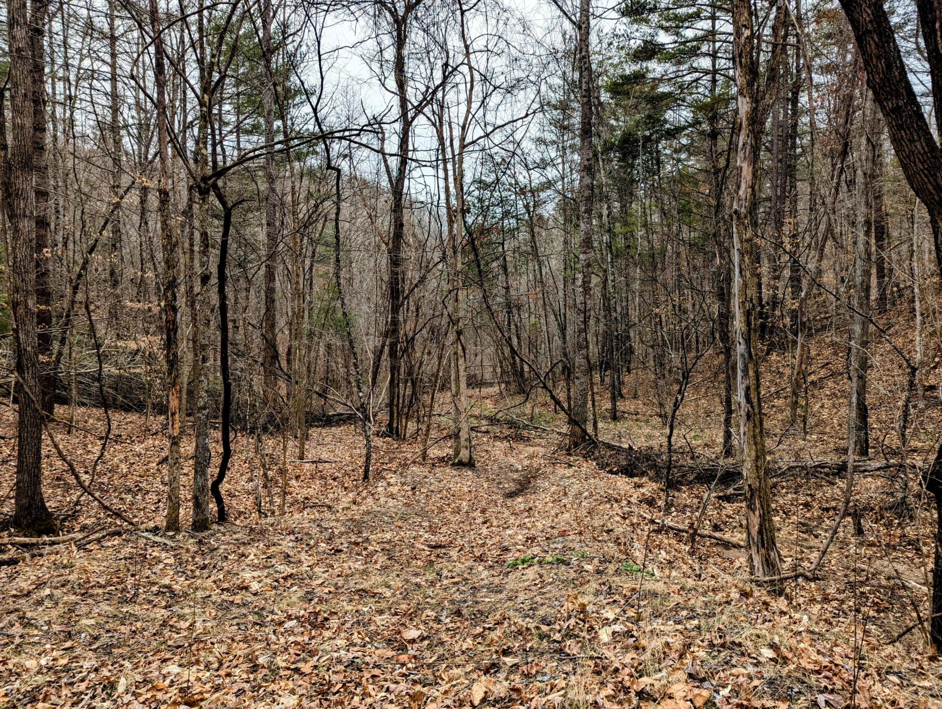 TBD Yates RD