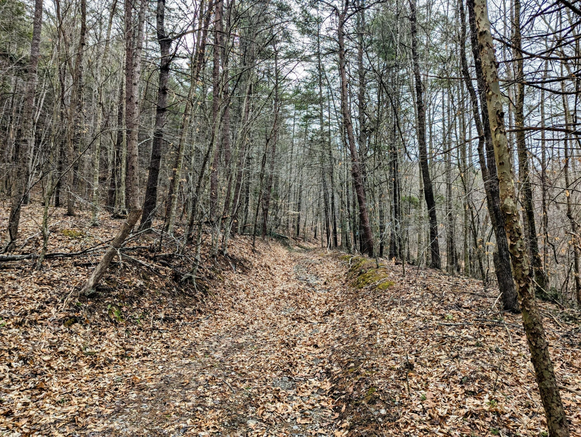 TBD Yates RD - Photo 10