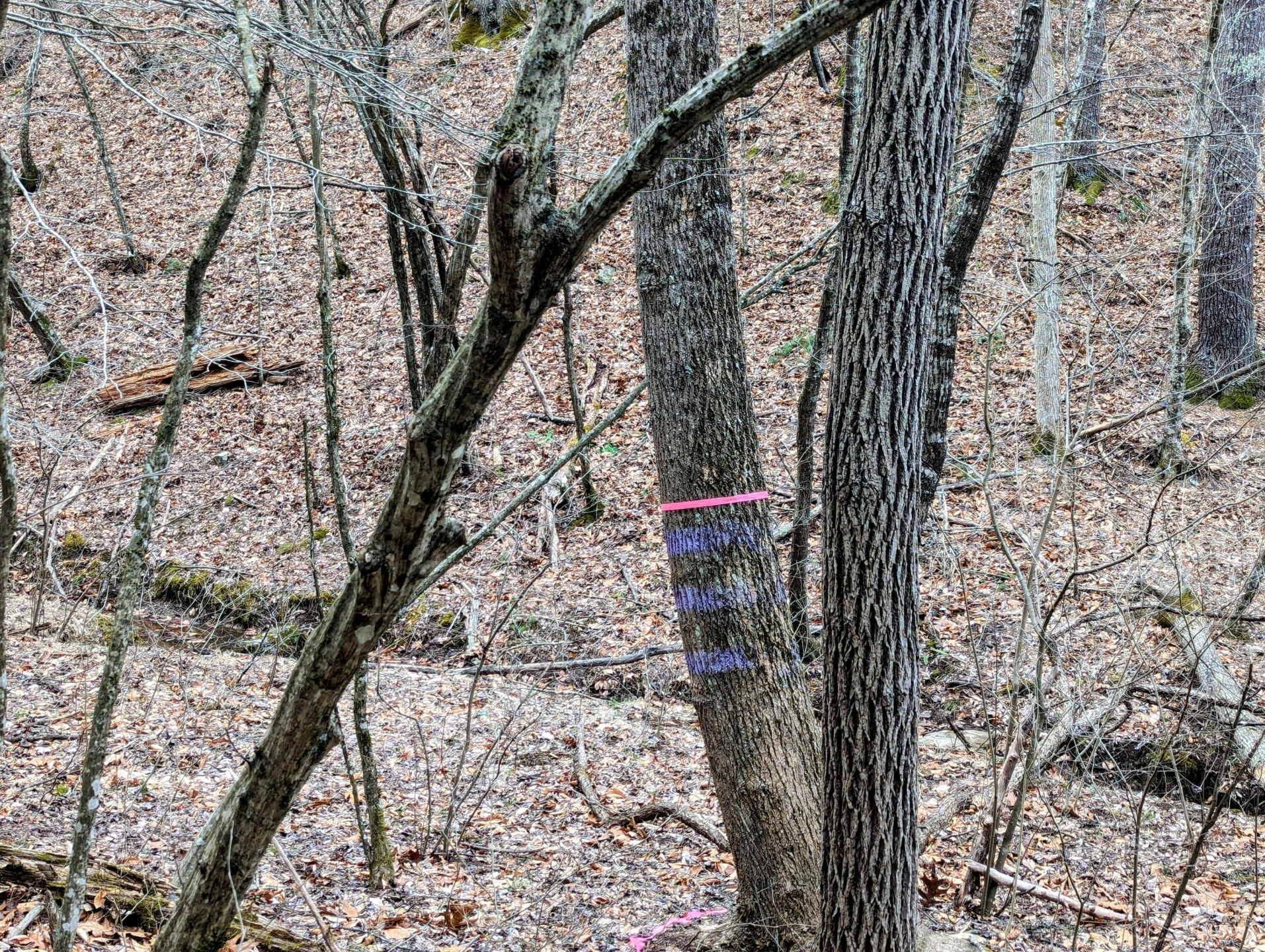 TBD Yates RD - Photo 11