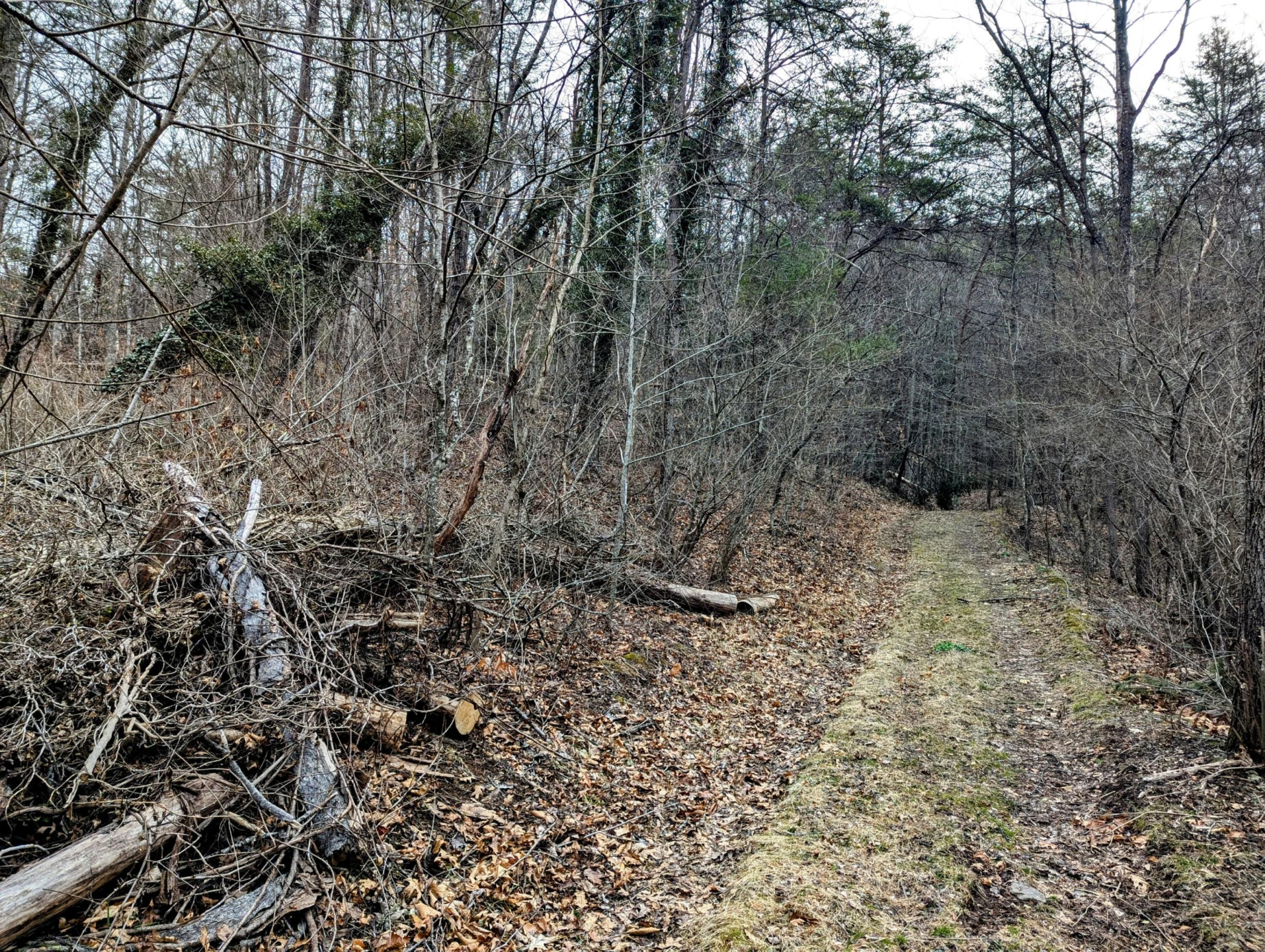 TBD Yates RD - Photo 12
