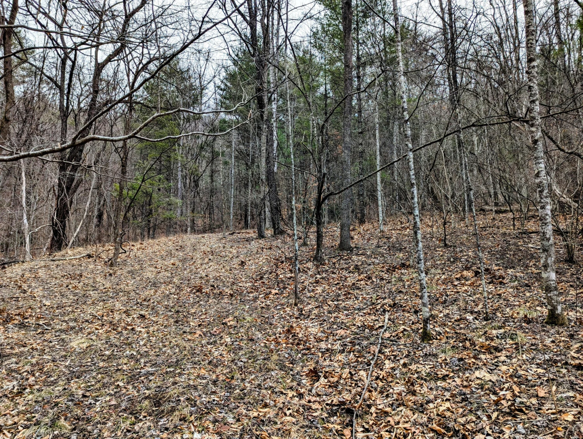 TBD Yates RD - Photo 2