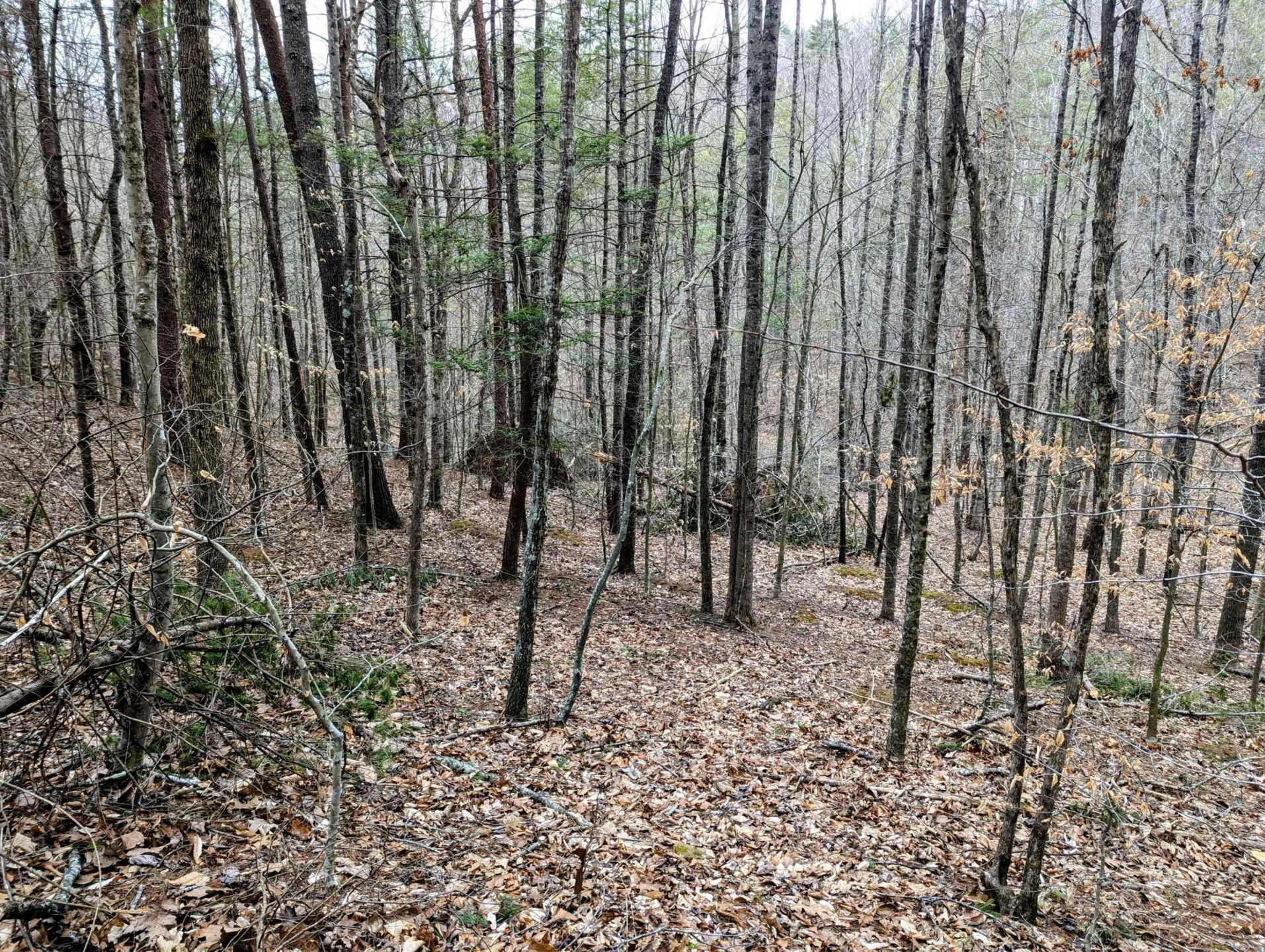 TBD Yates RD - Photo 3