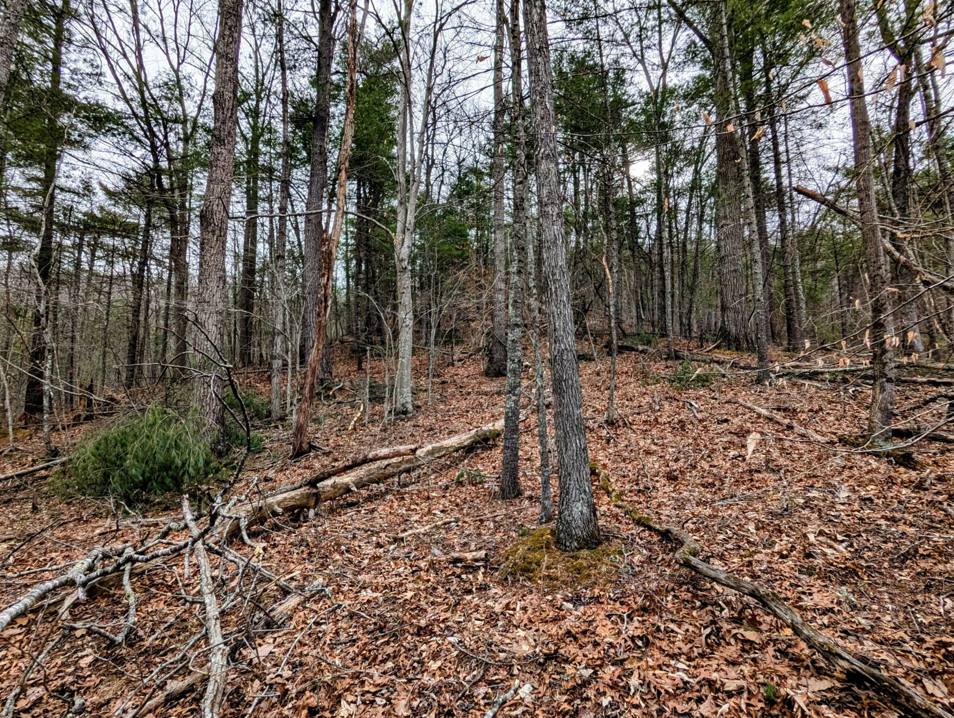 TBD Yates RD - Photo 4
